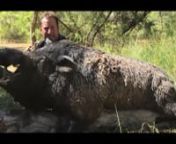 Featuring multiple hunters, both professional and recreational along with their dogs catching tough &amp; tusky Aussie Boars in some of Australia’s most remote and hard to reach spots. Join Ben Garrels, Kayne Maskill, Jake White aka Hollywood, Matt Sallway and Damian Lang as they take us through the paces with their tough Aussie dogs risking life and limb to catch and erradicate dangerous hogs that are wreaking havoc in the Australian outback. n ACTION PACKED adrenaline pumping boar catching a