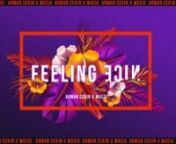 Lyric music video Arman Cekin - Feeling Nice (ft. Wasiu) nIt&#39;s one of the exciting projects in 2018. The artist Arman Cekin gives us a lot of freedom to create the design and the story. nIn this project, we had to create a lyrics animation with other visual components based on our chosen theme, which is urban city pop. We want to combine everything that we love from the past to create this universe, from retro urban poster to the &#39;80s &#39;90s tropical vibes. nnArt Direction: LeHoAn - AnneThunAnimat