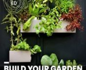 These Lego-like gardens bring urban farming to even the smallest of apartments! 17-year-old Dylan Soh designed the hydroponic gardens to attach to walls and balconies so that they can fit anywhere. And they expand simply by sticking more pieces together, just like with Legos! This eco idea makes it easier than ever to grow food no matter how little space you have in your home.