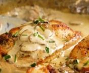 Chicken with Creamy Mushroom Sauce Looping Video from video with