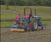 The recent trend toward restricting herbicide use has produced interest in alternative and integrated weed control strategies that include cultivation. As a result, newly developed implements are now available to vegetable growers, but the potential uses of these tools for numerous vegetable crops can be confusing. This video describes some of these tools and their advantages and disadvantages, based on four years of research at Cornell University. It should be noted, however,nthat this is not a