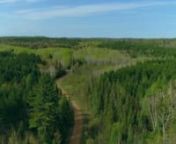 http://northernmichiganlandbrokers.com/pages/listings/details.php?mls=1104318nn40 acres of high and buildable land located on the pristine shoreline of Nelligan Lake in Baraga County&#39;s Craig Lake State Forest. The acreage has great road access on Nelligan Lake Road into Craig Lake State Park with a nice ridge containing mature pines that overlooks Nelligan Lake. Nelligan Lake is a really nice body of water that is fed by an out of Thomas Lake and has an outlet that forms the Nelligan Creek. Ther