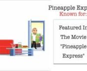 This strain review is about the Pineapple Express ! THC level, yield, height, grow difficulty and more are discussed.nnFull article: http://www.ilovegrowingmarijuana.com/pineapple-express/nnDownload my free expert Marijuana Grow Bible here: http://www.ilovegrowingmarijuana.com/marijuana-grow-biblennDon&#39;t forget to follow us on:nInstagram:https://www.instagram.com/ilovegrowingmarijuana/nFacebook: https://www.facebook.com/ilovegrowing/nTwitter: https://twitter.com/ilove_marijuana/