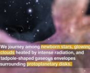 This visualisation takes the viewer on a breathtaking flight through the Orion Nebula, a nearby star-forming region. The video has been produced using scientific imagery and data from the NASA/ESA Hubble Space Telescope.nnAs the camera flies into the nebula, the viewer sweeps past newborn stars, smouldering clouds heated by intense radiation, and tadpole-shaped gaseous envelopes surrounding protoplanetary disks. A glowing gaseous landscape is revealed, that has been illuminated and carved by the