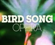 ShakeUp Music recomposed The Magic Flute Papageno/Papagena Duet into a colorful Mozart bird aria. Listen to an audiovisual Twitterstorm performed by our feathered fellows.nnWatch our new video BIRDS can DANCE! on YouTube: https://youtu.be/HzKsfhalAPonnFollow us on VimeonFacebook: https://www.facebook.com/ShakeUpMusic/nor YouTube: https://youtu.be/IMXD4h5w8D8nnwww.shakeup.de