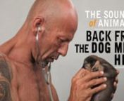 (ENG/FR) For the last 14 years, Michael Chour has been fighting a fierce battle against the consumption of dog meat in Thailand and Cambodia. With his association The Sound of Animals he has created a refuge for dogs rescued from hell. Meet the SOA team and share their daily life with dogs in distress. To support them, click here :https://thesoundofanimals.com/donation/nnMichael Chour mène depuis 14 ans une lutte acharnée contre la consommation de viande de chien en Thaïlande puis au Cambod