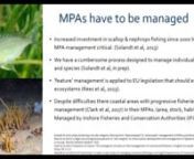 This webinar originally aired on 29 March 2018.nnPolitical parties in England and Scotland are working together to develop a network of new MPAs (known as marine conservation zones or MCZs in England). The UK government is designating a final tranche of MCZs by the end of 2018. UK MCZs are different from other MPAs worldwide, however, because management measures for MCZs aren’t explicit for entire sites (or zones) but are instead eventually implemented for individual species and habitat featur