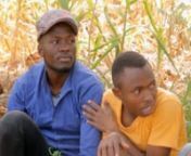 VITUKO is a comedy series revolving around around a small village where the residents are ignorant about many things in life but assume that hey have an idea of all that they need to live. They end up drawing crazy conclusions about simple matters that end up affecting their daily lives.