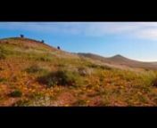 Desierto Florido, Region de Atacama.nVideo producido para Maray Television