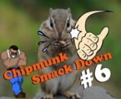 The sixth installment for 2017 featuring more chipmunk and red squirrel pesting here at camp Hajimoto. I show a sneak peek of my custom built night vision scope, I discuss the AGD Long Rangers Challenge and lastly, I pack the video full of Chipmunk and red squirrel smack downs, other than the chokes! LOLnnnBelow are some links to the folks I shouted out in this video. Please go and visit their channels and tell them Hajimoto sent ya!nn*Up North AirGunner* - https://www.youtube.com/watch?v=PBzvr.