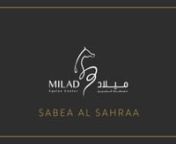 Sabea Al Saharaa from saharaa