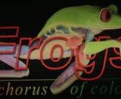 Frogs: A Chorus of Color at The Academy of Natural Sciences of Drexel University from frog jumps