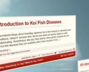 Reviewed: ★★★★★nnnVisit our site and learn:nnnAn Introduction to Koi Fish Diseasesnhttp://koifish.petsfauna.com/an-introduction-to-koi-fish-diseases/nnAll about Japanese Koi Fishnhttp://koifish.petsfauna.com/all-about-japanese-koi-fish/nnHelpful Guide for Setting up a Koi Fish Farmnhttp://koifish.petsfauna.com/helpful-guide-for-setting-up-a-koi-fish-farm/nnHow to Buy the Right Koi Fish Foodnhttp://koifish.petsfauna.com/how-to-buy-the-right-koi-fish-food/nnDifferent Koi Fish Meaning and