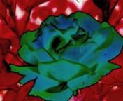 Blue Rose from imaginary