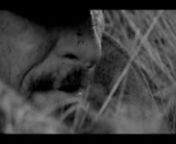 Trailer / BORO IN THE BOX/ nDirector BERTRAND MANDICOnWith ELINA LÖWENSOHNn2011 / CORPRODUCTION-OFFICE /