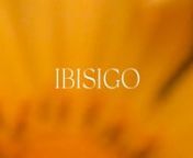IBISIGO is a visual correspondence imagined during a trip to Rwanda. nThroughout the letter, the narrator questions the fear of death, the importance of beliefs, the cruel cycle of nature and draws hope from poetry as a space for understanding and transformation.u2028u2028‘ibisigo’ (noun, kinyarwanda) : poetryu2028u2028nnCredits:nA Visual Essay by Ornella Pacchioniu2028u2028nProduced by PAMPnArt Direction, and Editing by pamp3000u2028nCo-Production: Master MoviesnInterviewees: Jimmy, Daphne,