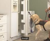 We have dozens of precious puppies just waiting to grow up and become Freedom Service Dogs, and all they’re missing is … YOU! Learn how you can raise a pup and change a life in this adorable video filled with sweet service dog hopefuls, as well as answers to common questions about becoming a volunteer puppy raiser for FSD. https://freedomservicedogs.org/volunteer/#puppyraising