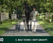 Owen's Leap - 20 Bolt D'Oro- Defy Gravity colt 2nd in Bshfrd.mp4 from bolt colt mp