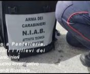 Rogo a Pantelleria, i rilievi dei carabinieri del NIAB from rogo