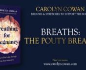 The Pouty Breath is wonderful. Practice with me here, and learn the detail of how to practice and why it helps in my book. nnBest enjoyed alongside the book, get a copy of it here: nnhttps://amzn.eu/d/9fPpfw1 nnPlease note that by taking part in this series, you agree to my terms and conditions and have noted the medical disclaimer, which is copied below.nnI very much hope that you find the book, and these videos, a source of comfort and support during your pregnancy and postnatal period. nnI