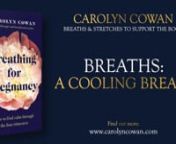 Learn more about the breaths in my book: nnhttps://amzn.eu/d/9fPpfw1 nnPlease note that by taking part in this series, you agree to my terms and conditions and have noted the medical disclaimer, which is copied below.nnI very much hope that you find the book, and these videos, a source of comfort and support during your pregnancy and postnatal period. nnIf you have questions or feedback whilst working with the videos please do email me:ninfo@carolyncowan.com nnFor the playlists that accompany