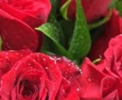 Crisflor.com.do es una florería premium que ofrece los mejores servicios de entrega de flores online en Santo Domingo. Visita nuestro sitio para más detalles.
