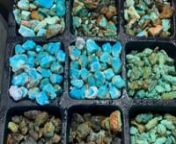 Turquoise Kings Beading Projects To Go! Nuggets! Blue Diamond, Red Coral, Tyrone, Castle Dome, SB, Farcy Morenci and more! HEY VIPS! Great for a resaler! Beefy meat on the bones! Spice OR - Become a PRO-bead factory, one necklace set at a time! American cut beads are EXPENSIVE! All Nuggets! Natural hard &amp; matching Blue Diamond bead-stock set, Red Coral Italian-cut natural hard beads, Tyrone bead-stock (stable super-grade: the classic solid greens &amp; black web-matrix fancy blues), natural
