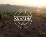 See how the Kuwasha Coffee project is growing and hear about the exciting changes it will make in the lives of the children and families of the Rakai District of Uganda.