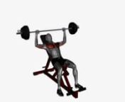 barbell-bench-press-incline-fitness-exercise-worko-2023-02-26-12-21-14-utc from worko