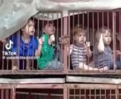 Дети в плену ХАМАС from Хамас