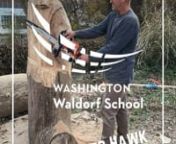 In the fall of 2023 we commissioned Kensington, MD based artist Jason Swain to carve a red-tailed hawk (our mascot) to grace the entrance of the John &amp; Mary Brauer Gym. nnnJason Swain: https://www.instagram.com/jasonjswainnMusic: Hawk Eyes by Coleman Hawkins