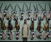 Venice Film Festival 2016 - Out of CompetitionnnDIRECTOR: Ulrich SeidlnCAST: Gerald Eichinger, Eva Hofmann, Manuel Eichinger, Tina HofmannnnAfrica. In the wild expanses, where bushbucks, impalas, zebras, gnus and other creatures graze by the thousands, they are on holiday. German and Austrian hunting tourists drive through the bush, lie in wait, stalk their prey. They shoot, sob with excitement and pose before the animals they have bagged. A vacation movie about killing, a movie about human natu