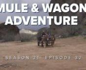 Mule &amp; Wagon Riding Adventure: (0:00),(11:05),(25:42)nThis week Chad is joining Casey Lofthouse from Casey’s Off-Road Recovery who is taking us on a completely different off-road adventure as he saddles up two of his favorite mules, Flossy and Jill, and gets out the covered wagon for a truly spectacular ride. Join along as they adventure through The Confluence Park and discuss some great things that have come and are continuing to be added to the park. We’ll also look into the many diffe