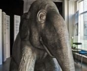 The artist Kasper Heron Købke (www.drawingsbykobke.com) has created Pencilla the elephant for the Elephant Parade Copenhagen 2011.nnKøbke has used a regular pencil for the creation of Pencilla, as he does for all his Art Drawings, and with more than 1000 drawing hours Købke has spend more than half a year working for the good purpose of saving the Asian elephant.nWith so many drawing hours Købke is one of the, if not the artist who has spend most working hours on his elephant during all the