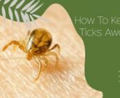 Ticks are found in brushy, wooded, or grassy areas – even on animals. And just walking outside in your backyard with your dog, gardening, hiking, or camping could bring you near them. Exposure can occur year-round, but ticks are most active between April and September. Here is advice to help you, your family, and your pets avoid ticks – and what to do if you get bitten.nnTick-Free ZonenKeep your lawn well-manicured by mowing it frequently and removing any leaf litter. If you live near a wood