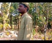 Pushpa __New santali comedy video__Chandra m.Tudu & Gopal Murmu #Maranadihi from video santali