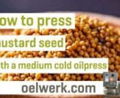 In today&#39;s video, we present you the simple and efficient production of high-quality mustard oil with our specially developed oil press OW510s-inox. This machine, designed for effective and gentle cold pressing, stands out for its outstanding quality and workmanship compared to other equipment. Many successful oil mills already rely on this model, which is manufactured in Germany from food-grade stainless steel.nnMustard oil, also known as mustard seed oil, is extracted from the seeds of the mus