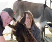 This Saturday, March 16, at 8:30 AM on Cox television&#39;s national network, AnimalZone embarks on an inspiring journey to Oscar&#39;s Place in Hopland, California. Founded by the compassionate duo of Phillip Selway and Ron King, this donkey rescue sanctuary stands as a haven for the misunderstood and often overlooked animals.nnAt the heart of Oscar&#39;s Place lies a mission fueled by the desire to save donkeys from grim fates at kill-pen auctions in Texas. In their pursuit, Phillip and Ron established a