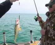 Episode 19nA Great Bite on the Great LakesnShow Date: May 9thLake Michigan, Waukegan, IllinoisnGuides: tCaptain Paul Pacholski [1-800-798-1218 &#124; deacsretreat.com]nttCaptain Tim Wojnicz [262-652-4459 &#124; finquestfishing.com]nnWe have a two location show today featuring two great lakes in our area.The first we brave some wind and waves on Lake Erie, fishing out of Port Clinton Ohio with our friend Captain Paul.The second we head out onto Lake Michigan, out of Waukegan Illinois, with Captain Ti