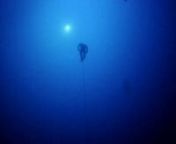 William Trubridge becomes the first human being to dive completely unassisted to 100 meters (one hectometer).nWith a single breath of air, and only his hands and feet for propulsion, he set this historic world record in Dean&#39;s Blue Hole, Long Island, Bahamas, on December 13, 2010.nnDirected by Matthew Brown http://www.vimeo.com/matthewbrown/videos.Music by Hans Zimmer.nnThe names listed during the descent were the supporters who each purchased a meter of the 100m rope.nFor more information on