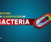 Structure and Classification of Bacteria Microbiology V-Learning™ - Complete Lecture on sqadia.comnhttps://www.sqadia.com/programs/structure-and-classification-of-bacteriann----Timestamps-----------------------------------------nn0:00 - Structure and classification of bacterian0:18 - Bacterial structural componentsn0:34 - Gram positive bacteria cell walln0:40 - Gram negative bacteria cell walln1:02 - Components of bacterial celln1:38 - Components of bacterial cell; Capsulen1:45 - Component