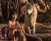 5. Bagheera Narra cómo Conoció a Mowgli - The Jungle Book (2016).mp4 from mowgli the jungle book