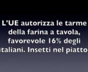 L'UE autorizza le tarme della farina a tavola, favorevole 16% degli italiani. Insetti nel piatto! from tarme