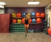 Stability ball, Dumbbells: 15&#39;s, one 25, 8&#39;s, &amp; 5&#39;s and a mat.
