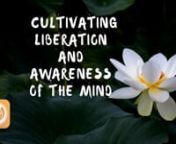 Cultivating Liberation and Awareness of the Mind | Larry Ward from martin luther king i have a dream text