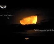 Mockingbird and the Moon Frankly my Dearscotty meade 7 21.mp4 from room death old song