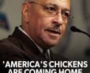 'AMERICA'S CHICKENS ARE COMING HOME TO ROOST' from coming home to roost