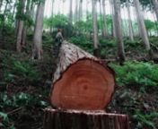 ※こちらは個人視聴用途の一般価格でのレンタル・販売です。授業でご利用いただく場合はオンライン・対面を問わず図書館価格でご購入いただく必要があります。nhttps://vimeo.com/ondemand/parcmorilibrarynn国土の約７割を森林が占める日本。戦後復興を支えてきた林業も、高度成長期を過ぎると林業従事者が減少し、「儲からない産業」の代名詞となりました。一方、戦後に植