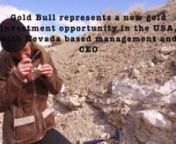 Gold Bull is a junior mineral explorer with a crystal clear focus on developing prospective precious metal properties in the USA.The company’s exploration hub is based in Nevada, USA, the top mining jurisdiction in the world with a rich history of precious metal production, existing mining infrastructure and an established mining culture. nnIn December 2020, Gold Bull purchased the Sandman Project from Newmont for its solid resource base and the excellent exploration potential. Gold Bull’s