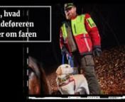 Læs mere: fdm.dk/nyheder/bilist/2021-12-se-sporhund-aktion-rydder-op-naar-dyr-koeres-ned